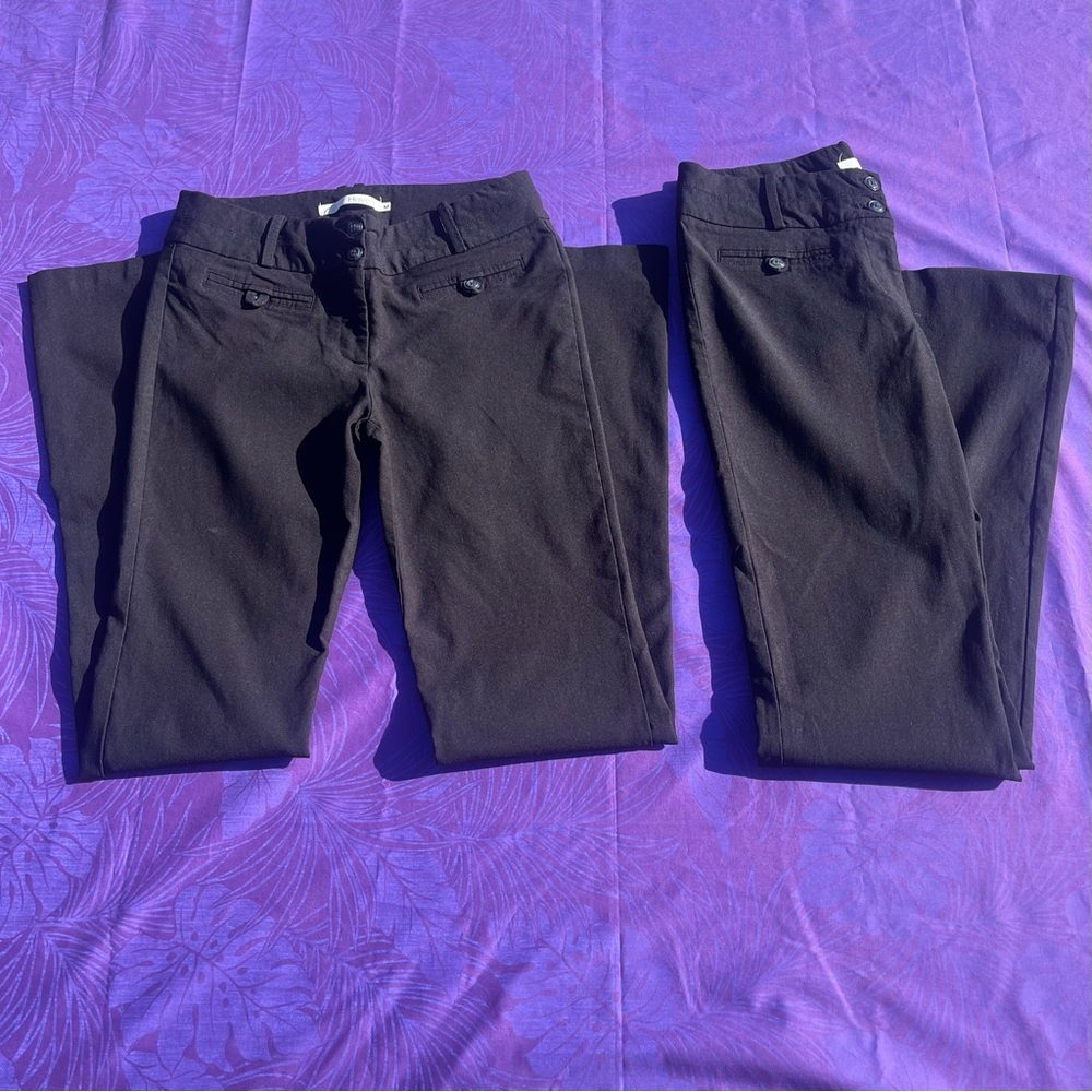 Have Women's Classic Black Straight Leg Jeans